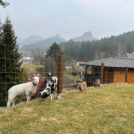 Natur Resort Jetrichovice Eksteriør billede