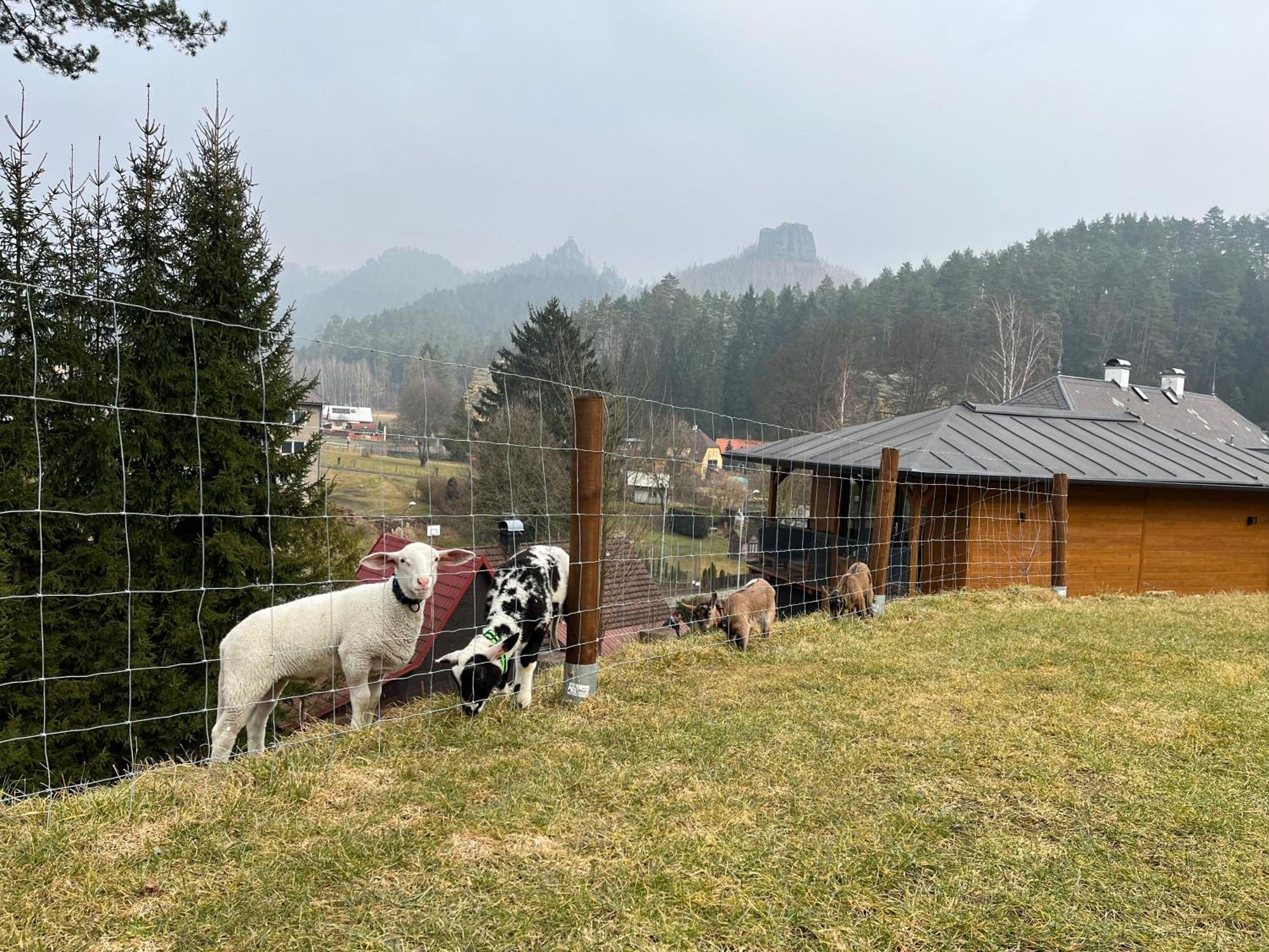 Natur Resort Jetrichovice Eksteriør billede
